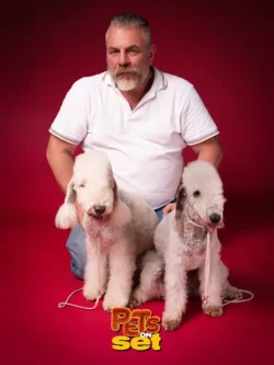 Una delle fotografie realizzate durante lo shooting Pets on Set al Novara DogShow. Foto professionale di un cane con il suo padrone durante Pets on Set al Novara DogShow