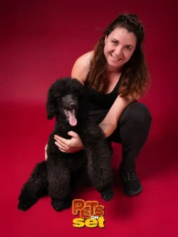 Una delle fotografie realizzate durante lo shooting Pets on Set al Novara DogShow. Foto professionale di un cane con il suo padrone durante Pets on Set al Novara DogShow